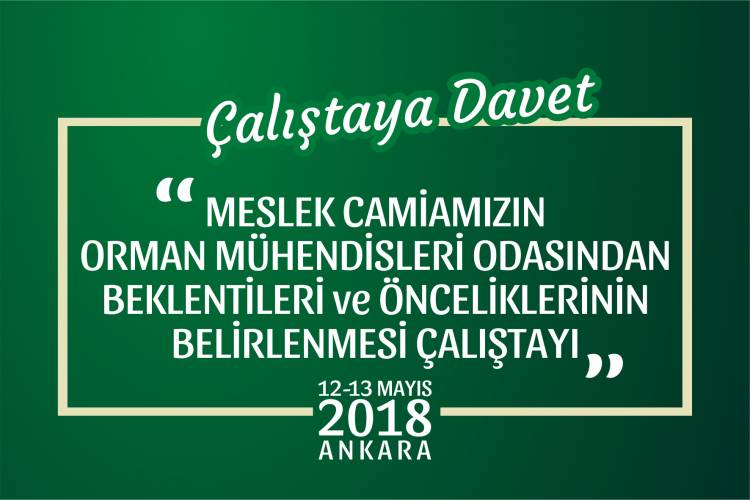 Çalıştaya Davet