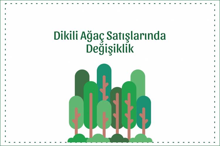 Dikili Ağaç Satışlarında Yeni Düzenleme