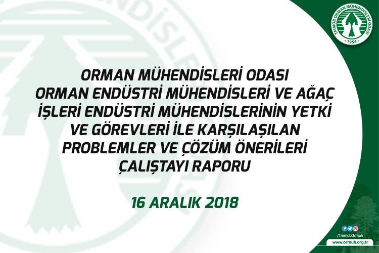 ORMAN MÜHENDİSLERİ ODASI ORMAN ENDÜSTRİ MÜHENDİSLERİ VE AĞAÇ İŞLERİ ENDÜSTRİ MÜHENDİSLERİNİN YETKİ VE GÖREVLERİ İLE KARŞILAŞILAN PROBLEMLER VE ÇÖZÜM ÖNERİLERİ ÇALIŞTAYI RAPORU 16 ARALIK 2018