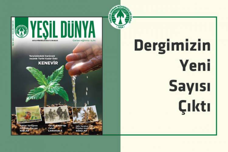 Dergimizin Yeni Sayısı Çıktı !
