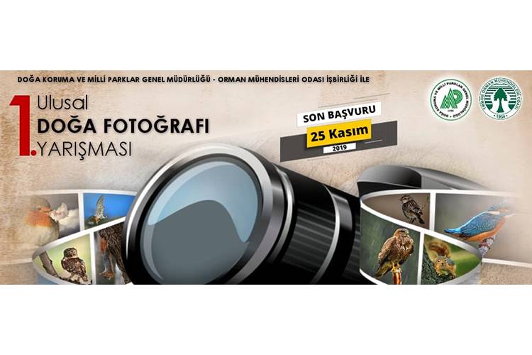Fotoğraf Yarışması