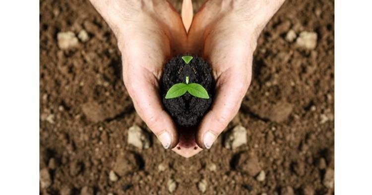 Bugün Fidan Yarın Nefes 