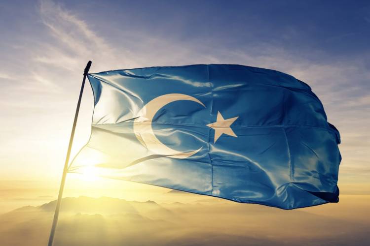 DOĞU TÜRKİSTAN ÜMMETİN KANAYAN YARASIDIR.