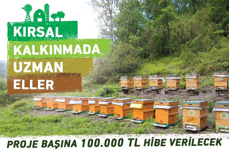 MESLEK MENSUPLARIMIZA YENİ BİR MÜJDE DAHA! PROJE BAŞINA 100.000 TL HİBE VERİLECEK