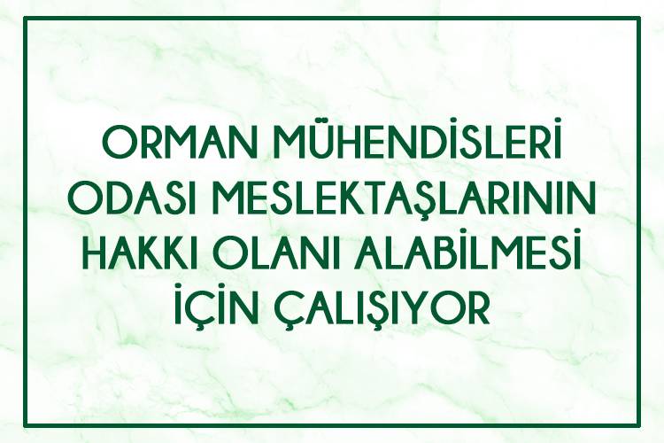 ORMAN MÜHENDİSLERİ ODASI MESLEKTAŞLARININ HAKKI OLANI ALABİLMESİ İÇİN ÇALIŞIYOR