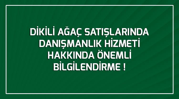 DİKİLİ AĞAÇ SATIŞLARINDA DANIŞMANLIK HİZMETİ HAKKINDA ÖNEMLİ BİLGİLENDİRME!