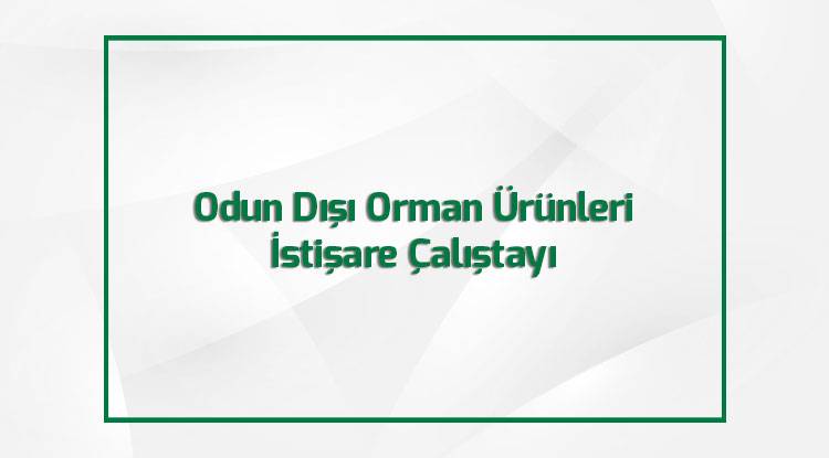 Odun Dışı Orman Ürünleri İstişare Çalıştayı