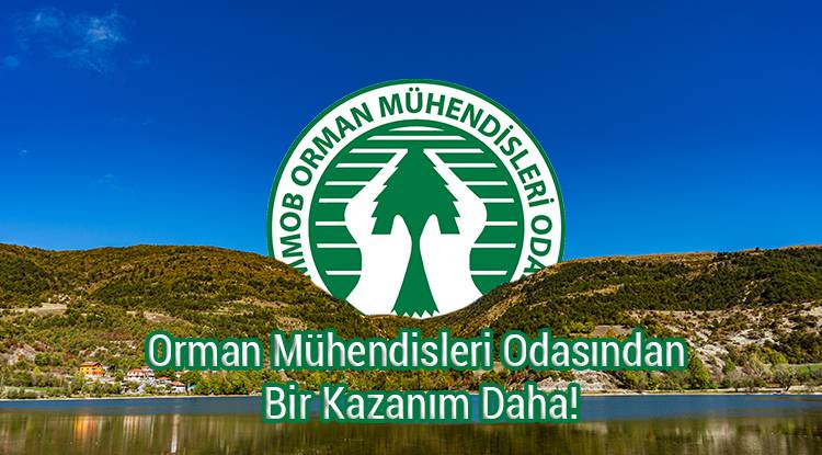 Orman Mühendisleri Odasından Bir Kazanım Daha!