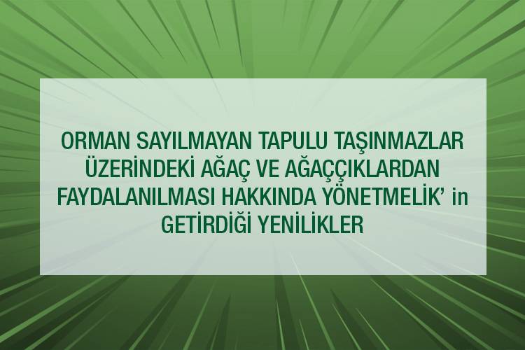 ORMAN SAYILMAYAN TAPULU TAŞINMAZLAR ÜZERİNDEKİ AĞAÇ VE AĞAÇÇIKLARDAN FAYDALANILMASI HAKKINDA YÖNETMELİK’ in GETİRDİĞİ YENİLİKLER