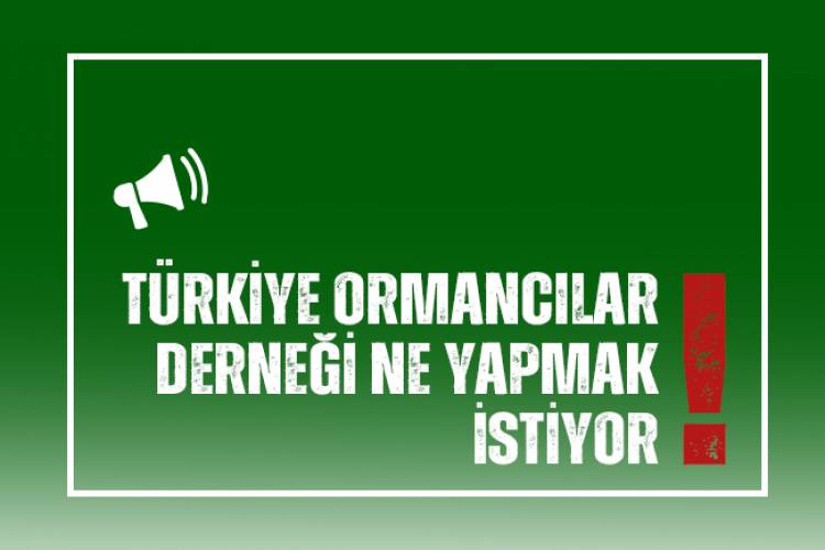 TÜRKİYE ORMANCILAR DERNEGİ NE YAPMAK İSTİYOR !!!