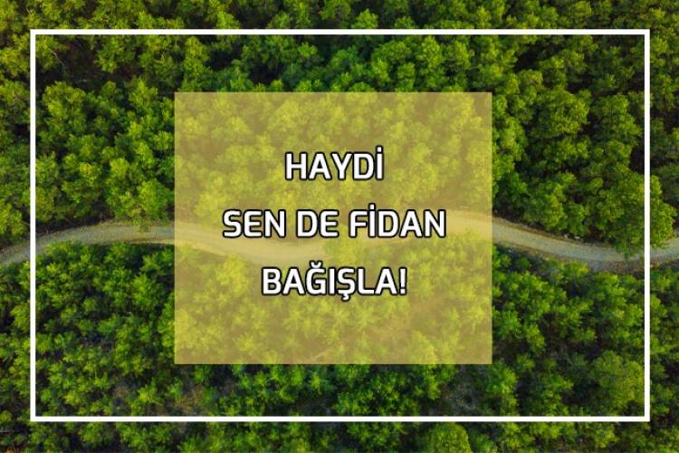 HAYDİ SEN DE FİDAN BAĞIŞLA!