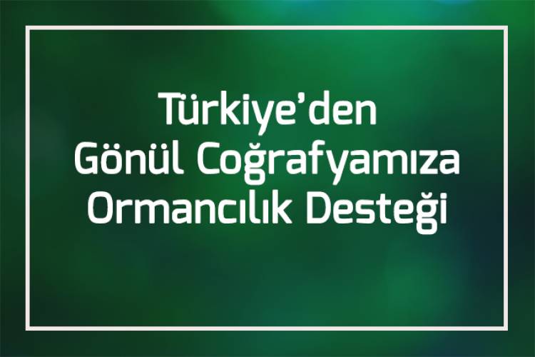 ODAMIZ KÜRESEL İKLİM DEĞİŞİKLİĞİ SORUNUNA KARŞI ULUSLARARASI DESTEK SAĞLIYOR.