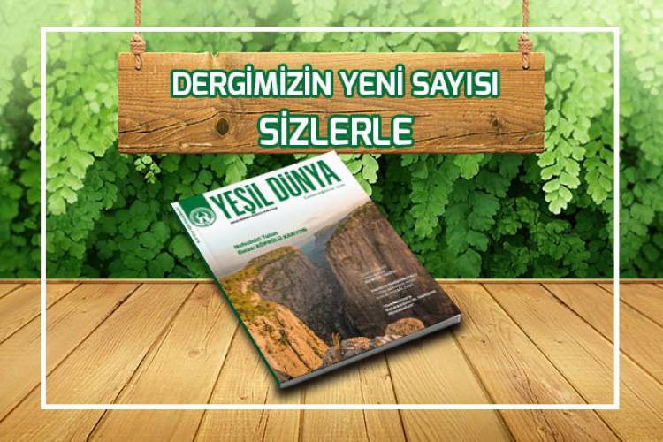 DERGİMİZİN YENİ SAYISI SİZLERLE!