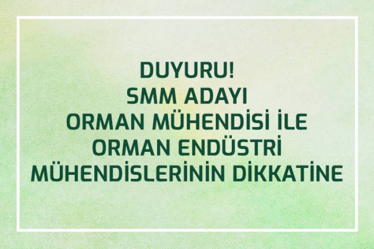SMM ORMAN MÜHENDİSİ İLE ORMAN ENDÜSTRİ MÜHEDİSLERİN DİKATİNE 