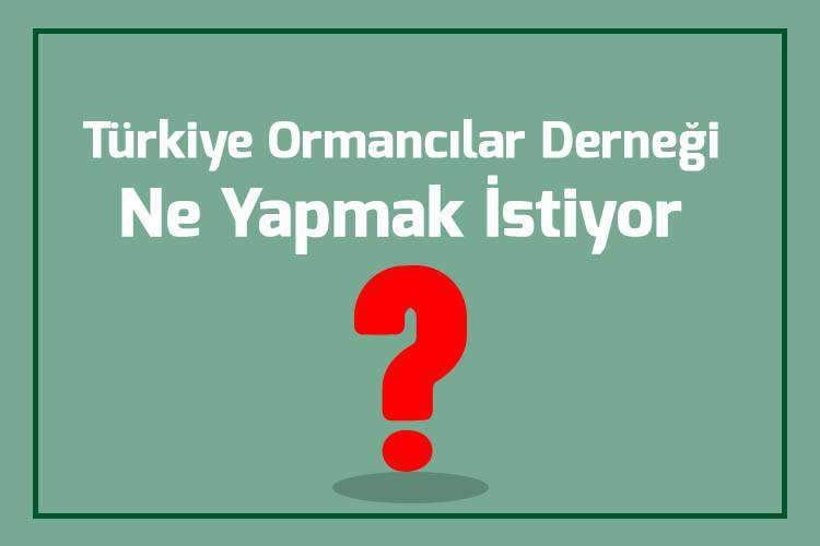 TÜRKİYE ORMANCILAR DERNEĞİ NE YAPMAK İSTİYOR?