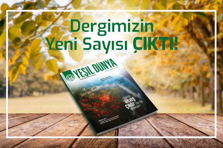 DERGİMİZİN YENİ SAYISI SİZLERLE