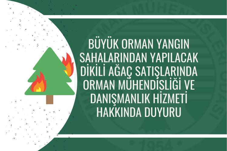 BÜYÜK ORMAN YANGIN SAHALARINDAN YAPILACAK DİKİLİ AĞAÇ SATIŞLARINDA ORMAN MÜHENDİSLİĞİ VE DANIŞMANLIK HİZMETİ - DUYURU - 2022/29