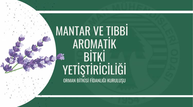 MANTAR VE TIBBİ-AROMATİK BİTKİ YETİŞTİRİCİLİĞİ - DUYURU - 2022/38