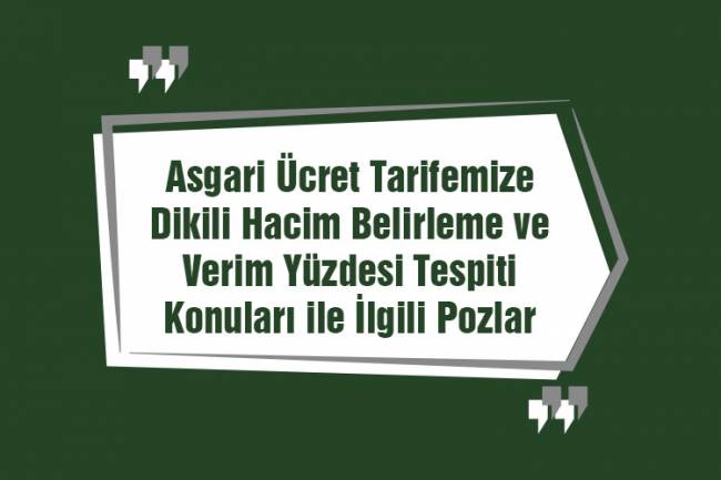Asgari Ücret Tarifemize Dikili Hacim Belirleme ve Verim Yüzdesi Tespiti Konuları ile İlgili Pozlar Eklenmiştir.