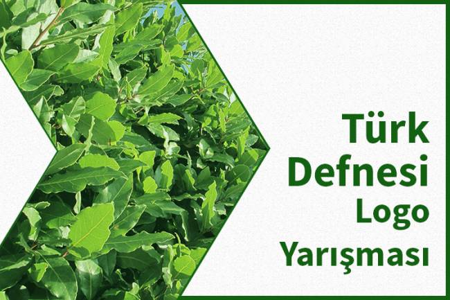 “TÜRK DEFNESİ” LOGO YARIŞMASINDA SONA GELİNDİ.