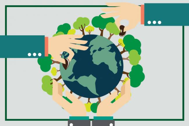 ÖZEL AĞAÇLANDIRMA TAMİMİ İLE İLGİLİ ÖNEMLİ DUYURU