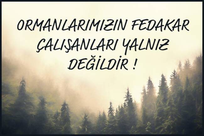 ORMANLARIMIZIN FEDAKAR ÇALIŞANLARI YALNIZ DEĞİLDİR ! 