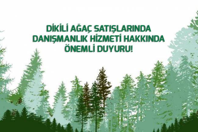 DİKİLİ AĞAÇ SATIŞLARINDA DANIŞMANLIK HİZMETİ HAKKINDA ÖNEMLİ  DUYURU !!!