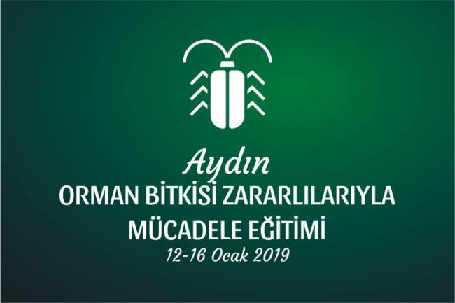 AYDIN ORMAN BİTKİSİ ZARARLILARIYLA MÜCADELE EĞİTİMİ - Orman Mühendisleri